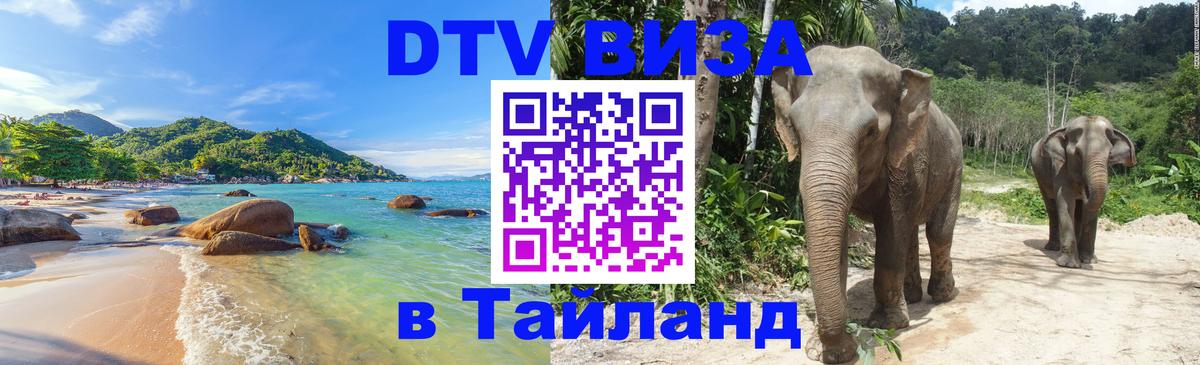 Сколько стоит DTV виза — актуальные цены, оформление даже без документов - 20.11.2025 